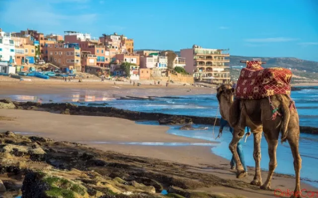 Location Voiture Agadir : Trouvez la Meilleure Option pour Votre Voyage